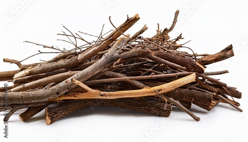 branches pile isolated dry twigs pile ready for campfire sticks boughs heap for a fire