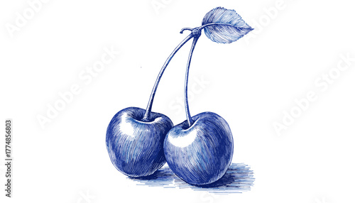 Vintage sketch of two blue cherries with a leaf 