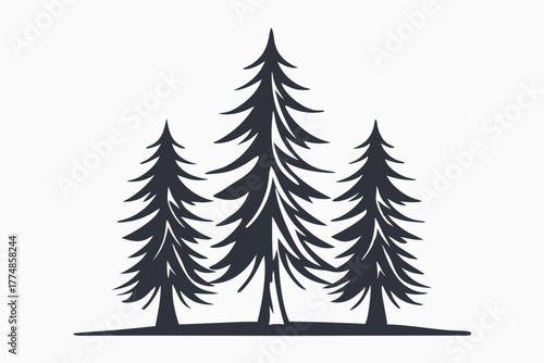 Three dark coniferous trees standing close together evoke feelings of a serene woodland