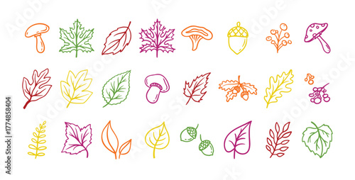 Autumn leaves outline doodle set. Botanical fall contour stickers. Vector leaf clipart drawings 