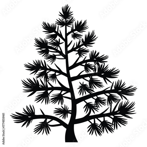Isolated silhouette displays a coniferous tree with dense needles, creating a stark botanical artwork