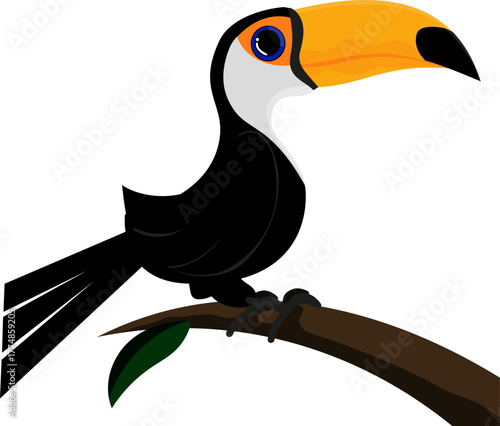 Tucano em galho – ilustração de ave tropical