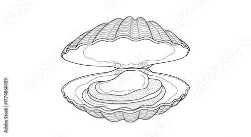 An open oyster reveals a shiny pearl resting inside its shell, depicted in a classic black and white line art illustration.