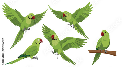 A collection of green parrots in various flying, standing, and perching poses, showcasing their vibrant plumage and distinctive red beaks on a white background.