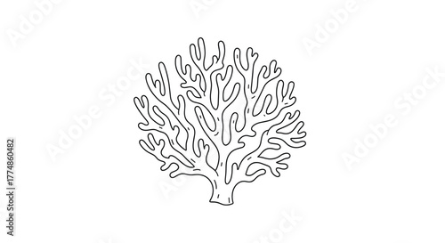 Stylized hand-drawn line art illustration of a branching coral formation, resembling a small underwater tree or bush, on a plain white background.