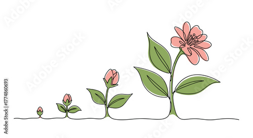 Continuous line art illustration showing the progressive growth stages of a flower, from a tiny bud to a fully bloomed blossom with green leaves, symbolizing development, nature, and life.