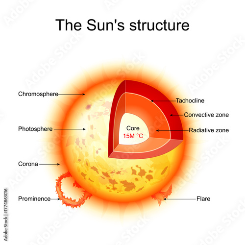 Sun structure. Star interior
