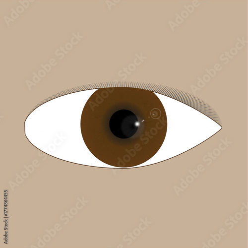 vector illustration of a eye