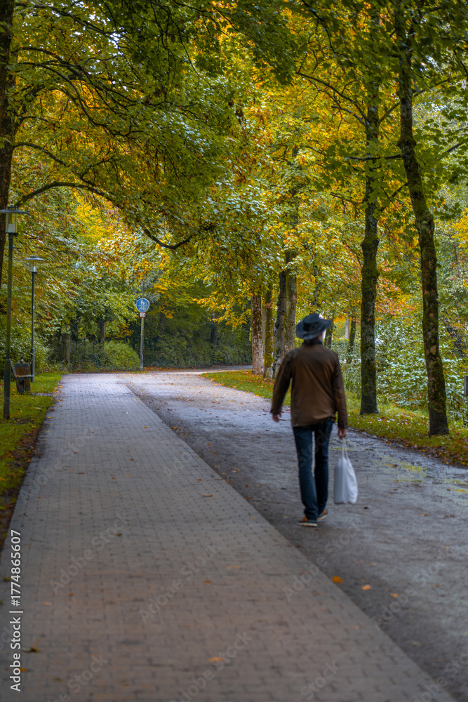 Fototapeta premium walking in the park