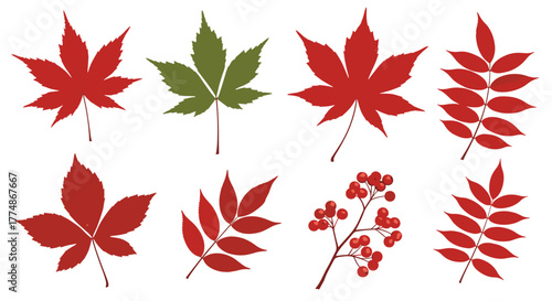 A vibrant collection of red and green autumn leaves, featuring various shapes like maple and compound leaves, complemented by a sprig of bright red berries, celebrating the fall season.