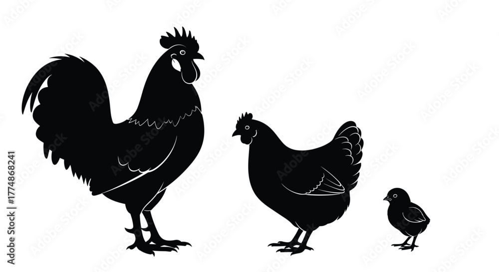 Fototapeta premium Full view of black silhouettes depicting a rooster, a hen, and a small chick, arranged by size against a clean white background.
