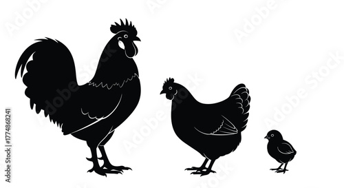 Full view of black silhouettes depicting a rooster, a hen, and a small chick, arranged by size against a clean white background.