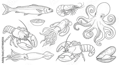 Diverse collection of hand-drawn line art illustrations depicting popular seafood types such as fish, lobster, octopus, squid, shrimp, and mussels, on white.