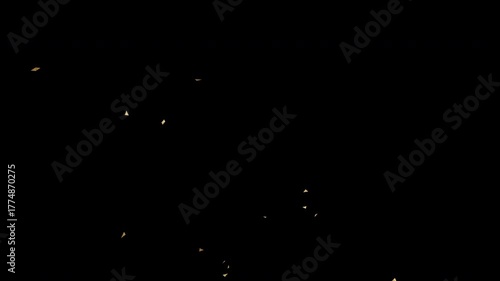 Glitter square and polygon confetti falling golden glittery pieces create a dazzling contrast on Transparent background. Sparkly celebration concept suitable for party invitations or festive designs