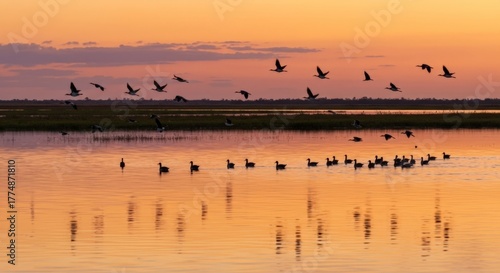 Wallpaper Mural Sunset over Kakadu wetlands with birds flying over water Torontodigital.ca