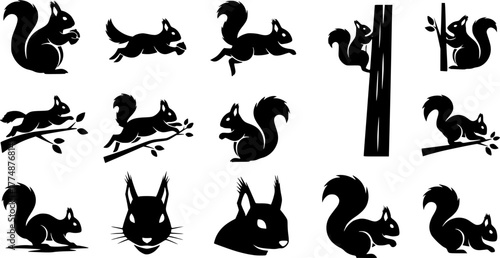  black and white  squirrel vector art silhouette vector 