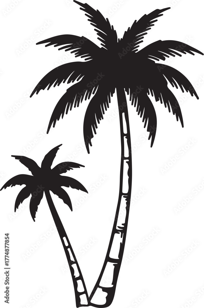 Obraz premium Silhouette of two palm trees with fronds against a white background tropical nature on transparent background