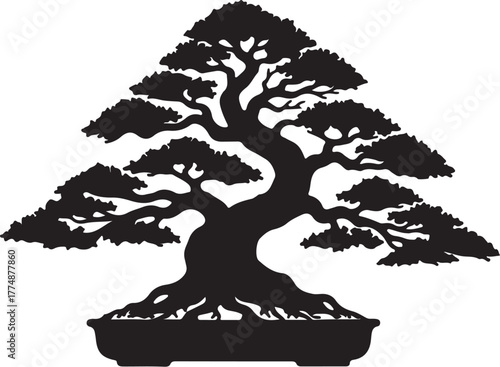 Black silhouette of a mature bonsai tree with a prominent trunk and layered branches outline on transparent background
