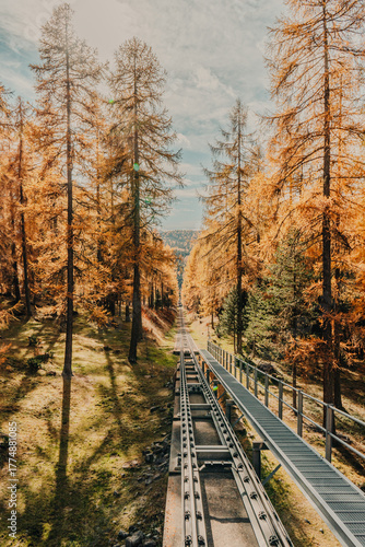 Railway tracks lead through a golden autumn forest in the Swiss Alps under a bright blue sky. The sunlight filters through larch trees, creating a warm and peaceful mountain atmosphere.