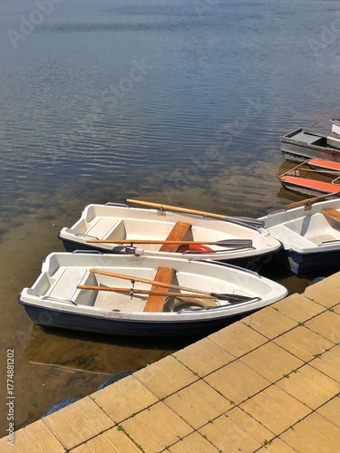 Rowboats Moored at a Wooden Pier on a Calm Lake. Close-up of sleek rowboats floating next to a rustic wooden pier.