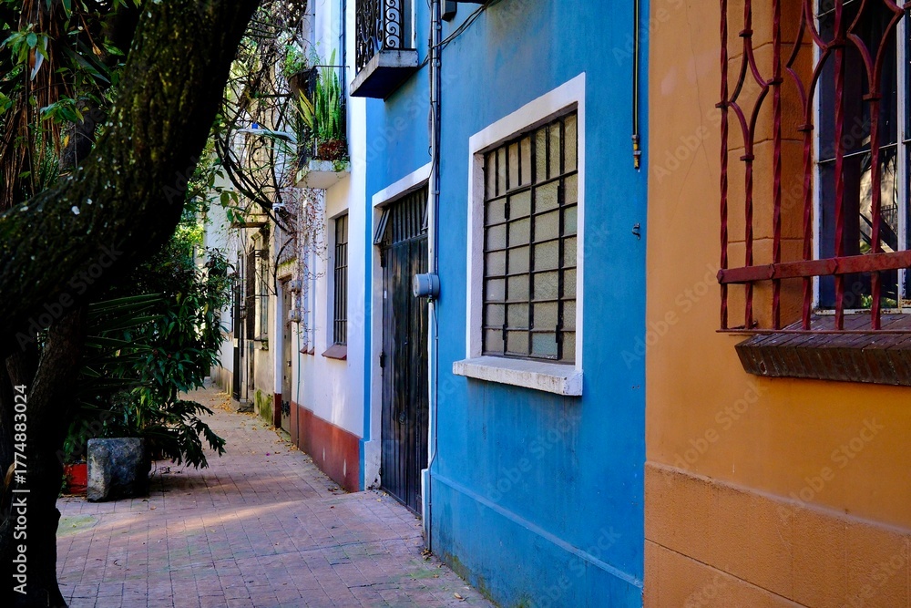 Fototapeta premium Narrow Residential Passage with Colorful Facades (Mexico City, Mexico) 