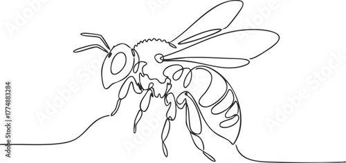 cute bee clipart in flat style on white background on transparent background