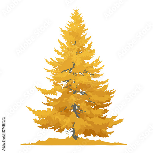 A simple and modern flat 2D vector of a Alaskan Yellow Cedar Tree, isolated on a pure white background.