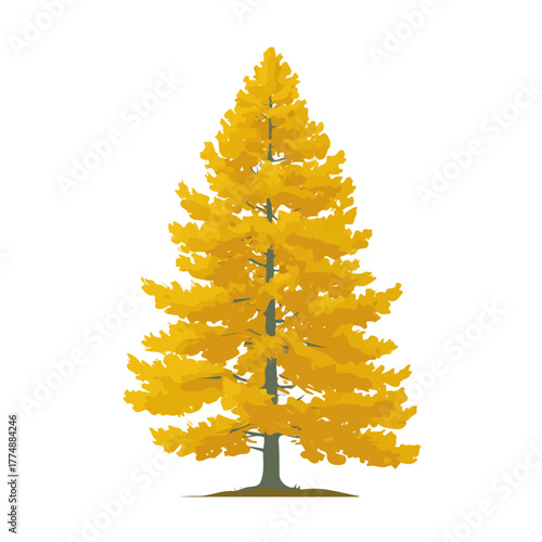 2D minimalist flat vector of a Alaskan Yellow Cedar Tree, contemporary clean design isolated on white.
