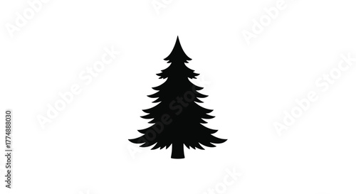 A solitary evergreen tree stands tall and dark against a stark white background.