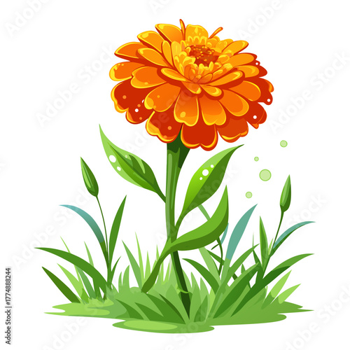 Bright orange garden flower growing in lush green grass detailed vector illustration, vibrant summer botany design element.