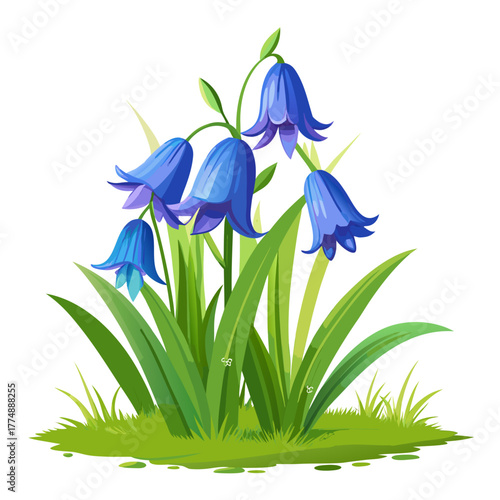 Detailed vector illustration of vibrant blue bellflower blossoms growing in a patch of fresh green grass and foliage design element