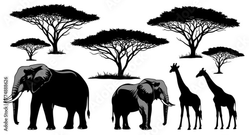 African Wildlife Silhouette Elephants and Giraffes with Acacia Trees.