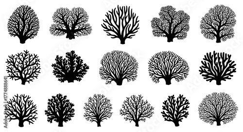 Collection of Black and White Tree Silhouettes for Design.