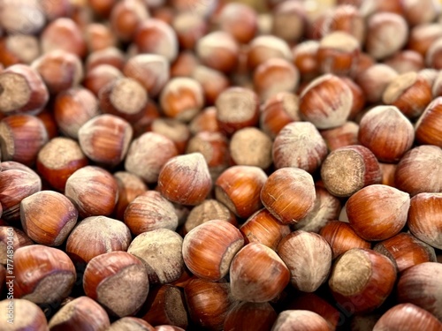 gros plan sur des noisettes chez un producteur bio