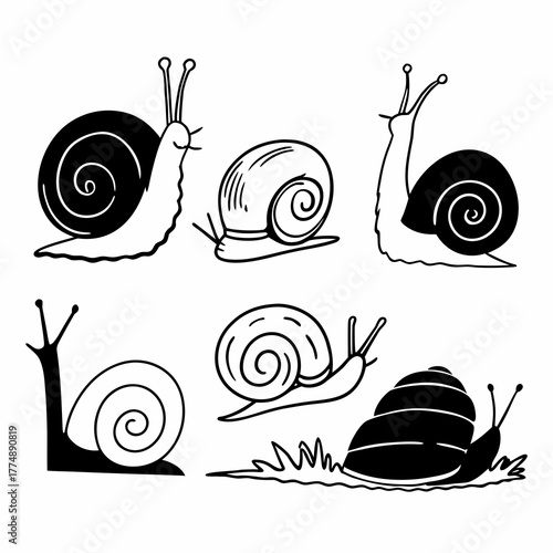 A set of snail vector illustration