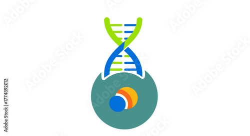 Stylized dna helix and cell nucleus with colorful circles.