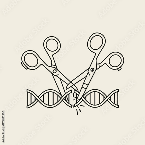 Scissors cutting a DNA strand, representing genetic modification.