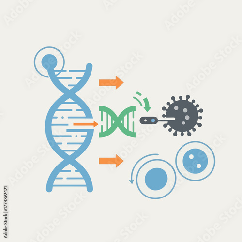 DNA strand interacts with virus and cell division process.