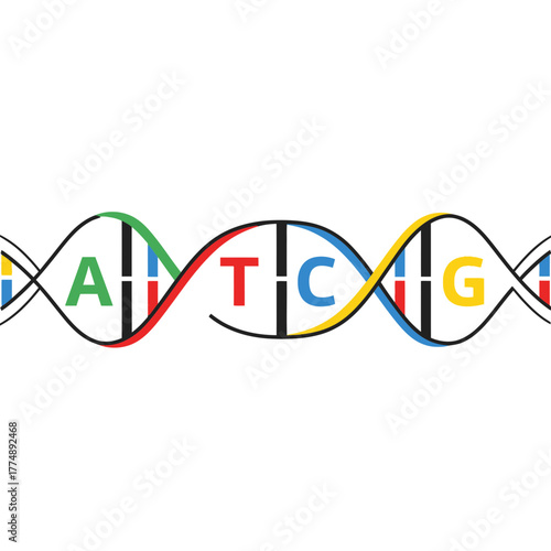 DNA double helix with letters A T C G and colored bases.