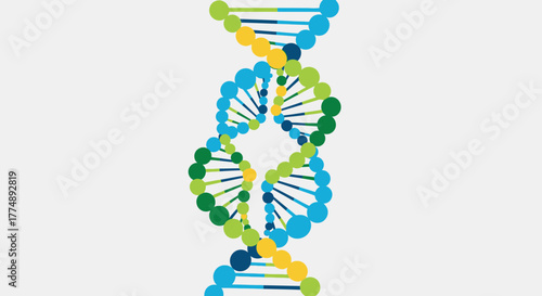 Stylized double helix DNA structure with colored spheres and bars.