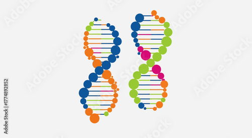 Two colorful DNA strands with circular bases and horizontal bars.