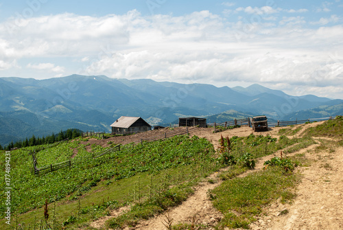 Elevated panoramic view of the vast, rolling green slopes of the Ukrainian Carpathians, with a traditional Hutsul shepherd's hut and wooden enclosures nestled on the mountain side,  dramatic sky