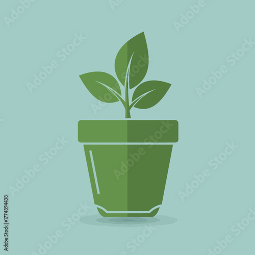Green plant in a pot on a blue background.