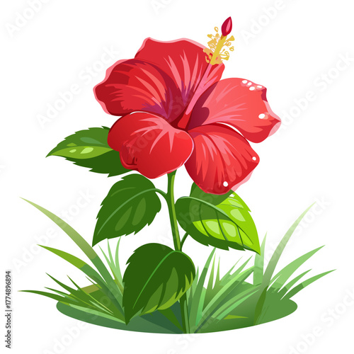 Red hibiscus flower plant growing among green grass vector illustration with glossy petals and yellow stamen detail tropical summer bloom.