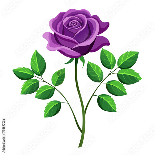 Vector illustration of a single blooming purple rose flower on a long stem with green leaves, representing love, romance, and beauty