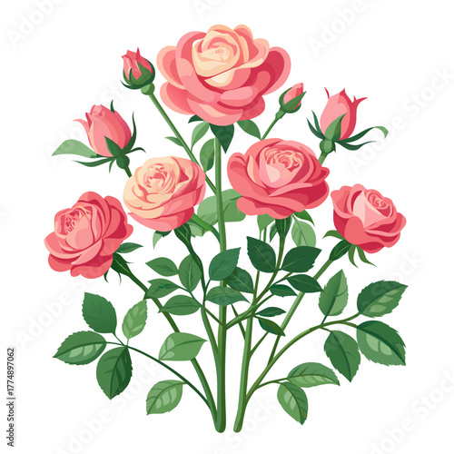 Detailed vector illustration of a vibrant pink rose bouquet bush with blooming flowers and unopened buds on green stems and leaves.