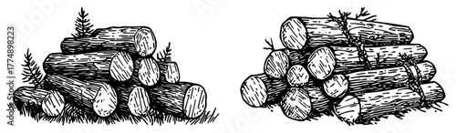 Stack of cut firewood logs with pine sprig – detailed rustic winter engraving illustration