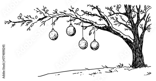 Bare tree with hanging Christmas ornaments – whimsical winter branch illustration