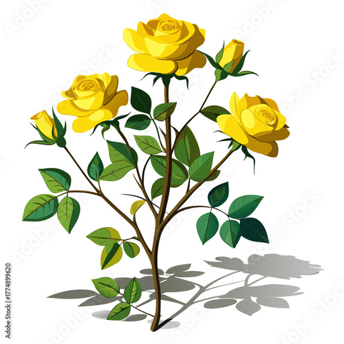 A detailed vector illustration of a yellow rose bush blooming with vibrant flowers and developing buds on thorny stems with green foliage.