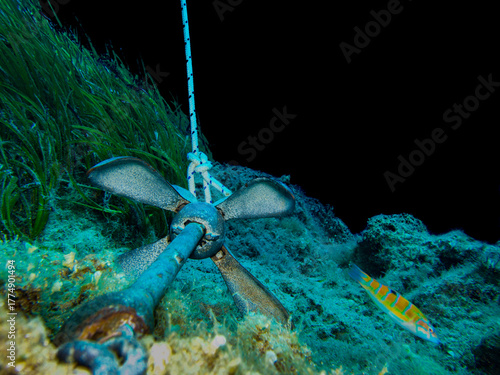 Quadro em tela Grapnel anchor on rocky sea floor